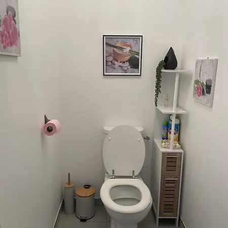 Casa de Férias Grande Maison Avec Tranquillite Garantie *